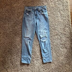 American Eagle Outfitters Light Blue Distressed Boyfriend Jeans